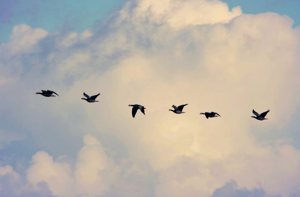 Cloud migration